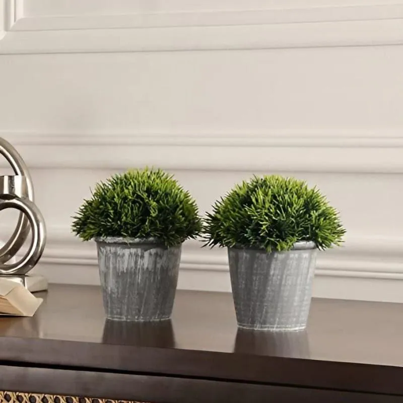 Leva Faux Plant In Garcia Pot (17 cms) - Set Of Two media 1