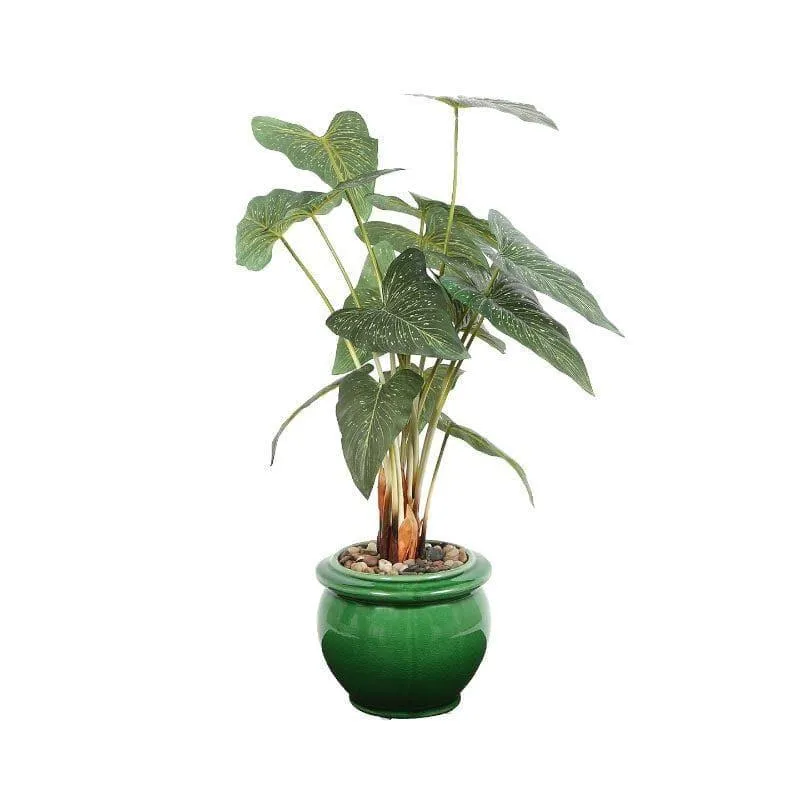 Faux Caladium Bonsai In Ceramic Pot (59 cms) - Green media 4