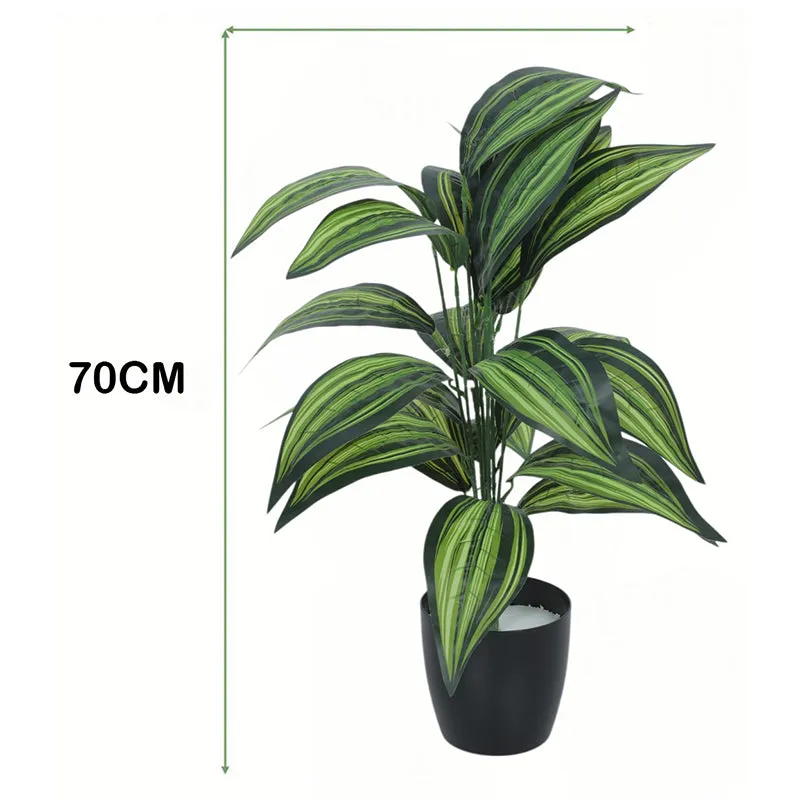 Edena Artificial Variegated Dracaena With Black Plastic Pot - 2.3 Feet media 6