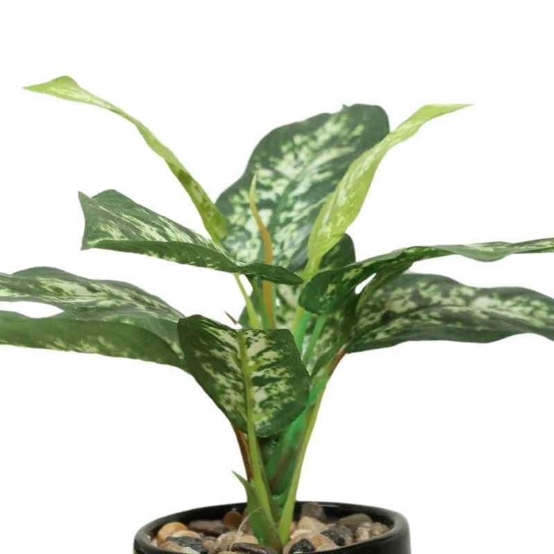 Artificial Yellow Dieffenbachia Bonsai Plant With Ceramic Pot - 0.7 Feet media 4