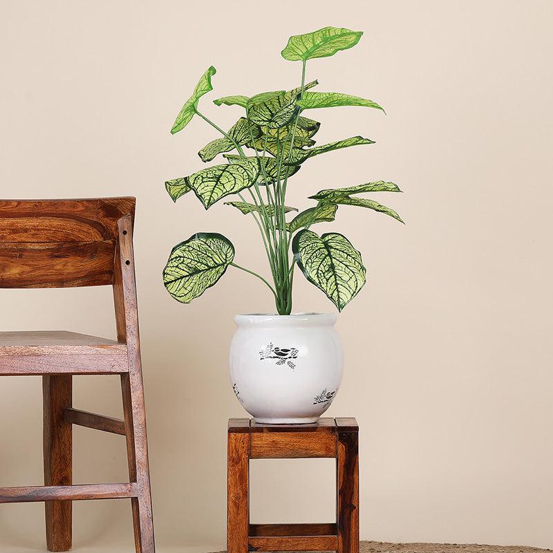 Faux Botanic White Caladium Plant - 2 Feet