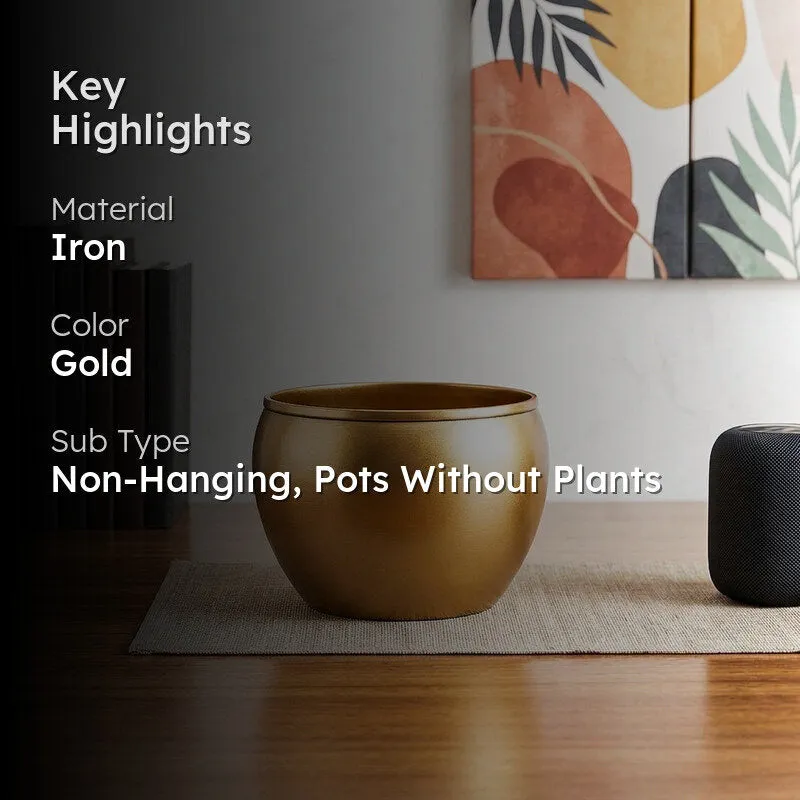 Glossy Gold Planter media 2
