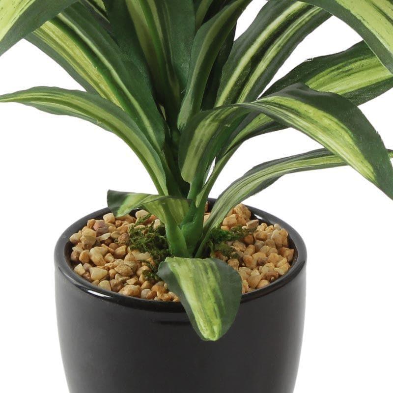 Faux Dracaena Bonsai (24 cms) - Green media 3