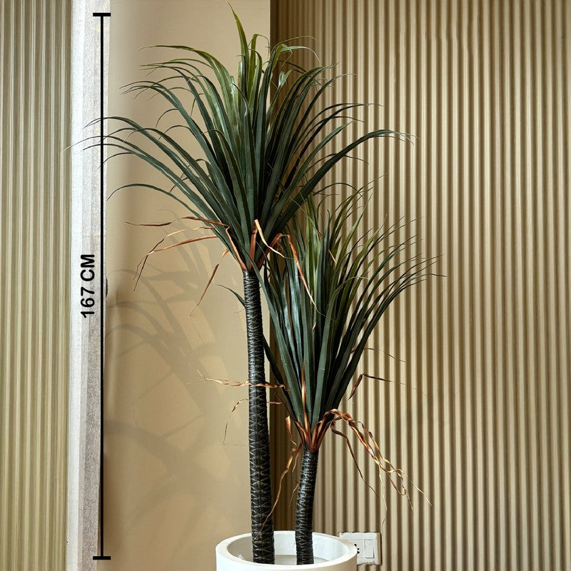 Arelon Tall Faux Palm Plant Without Pot - 167 cm (5.5 ft) media 8