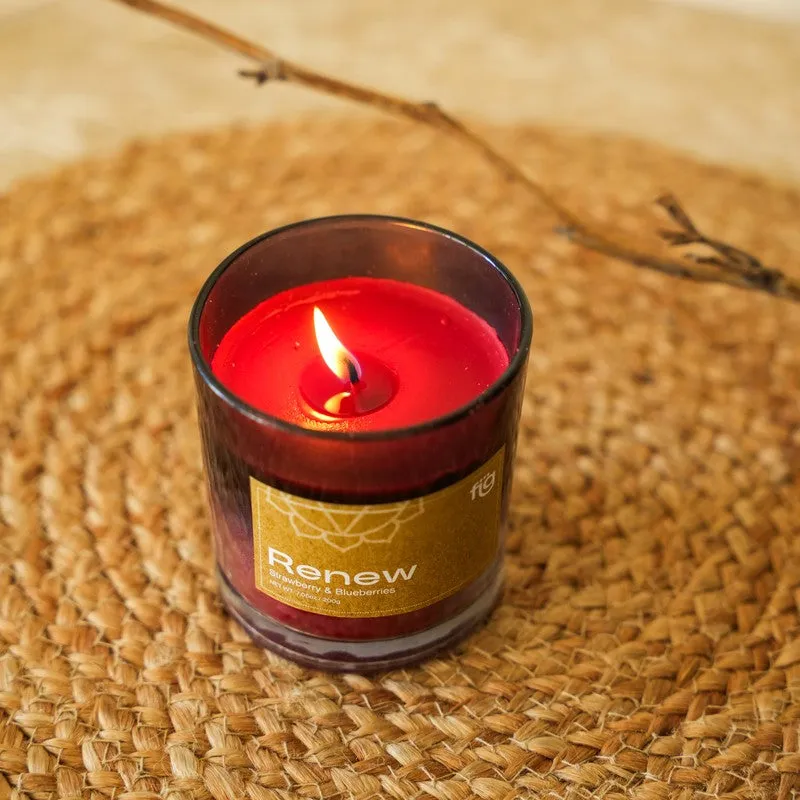 Fig Living Renew Berries Palm Wax Scented Candle media 7