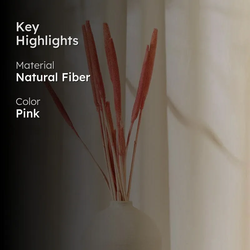 Dried Bajra Stems (2.46 ft) - Pink media 2