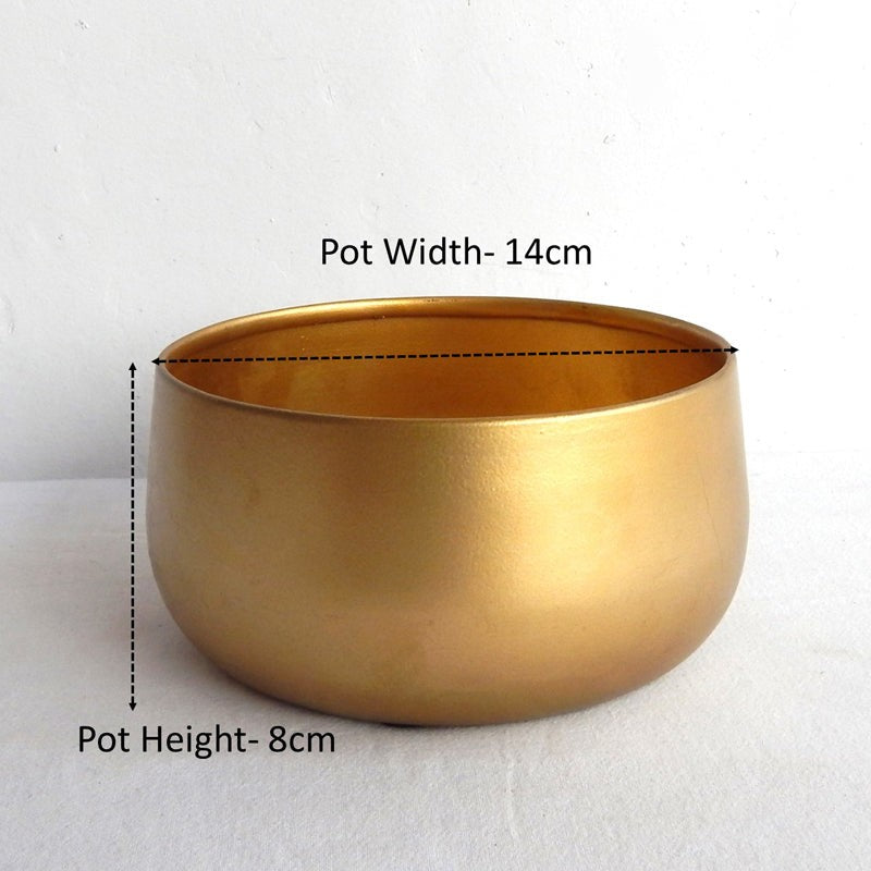 Sylvie Metal Planter - Gold media 7