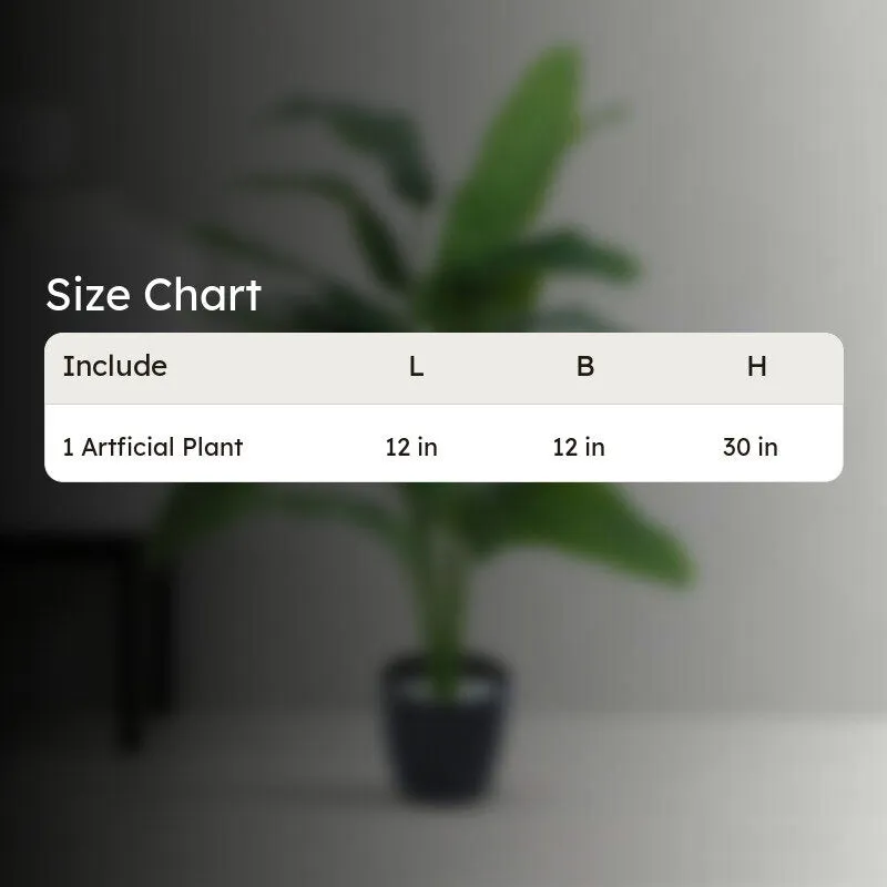 Grover Artificial Banana Plant With Black Plastic Pot - 2.5 Feet media 6