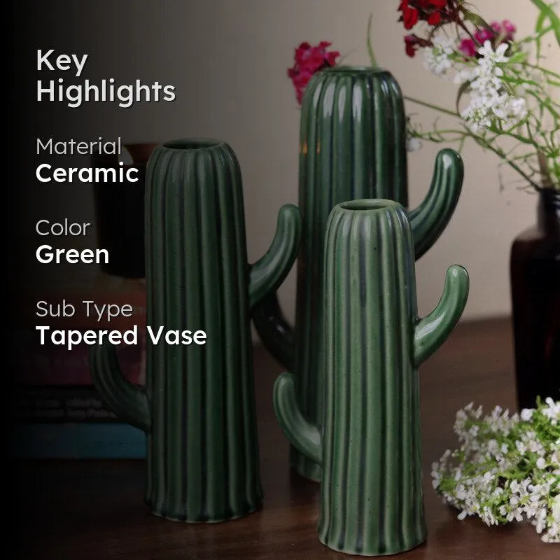 Cacti Crista Vase - Set Of Three media 2