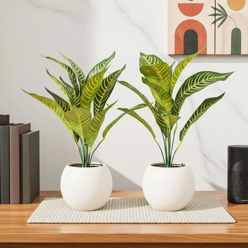 Faux Dracaena Plant With Black Plastic Pot (50 cms) - Set Of Two media 1