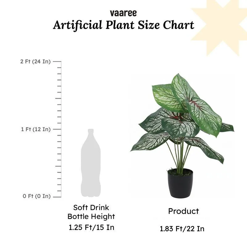 Faux Deco Aglonema Silk Plant With Black Plastic Pot - 55 cms media 5