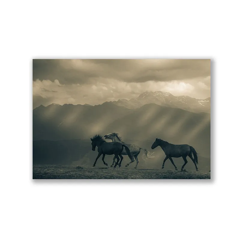 Equine Silhouette Wall Art media 3