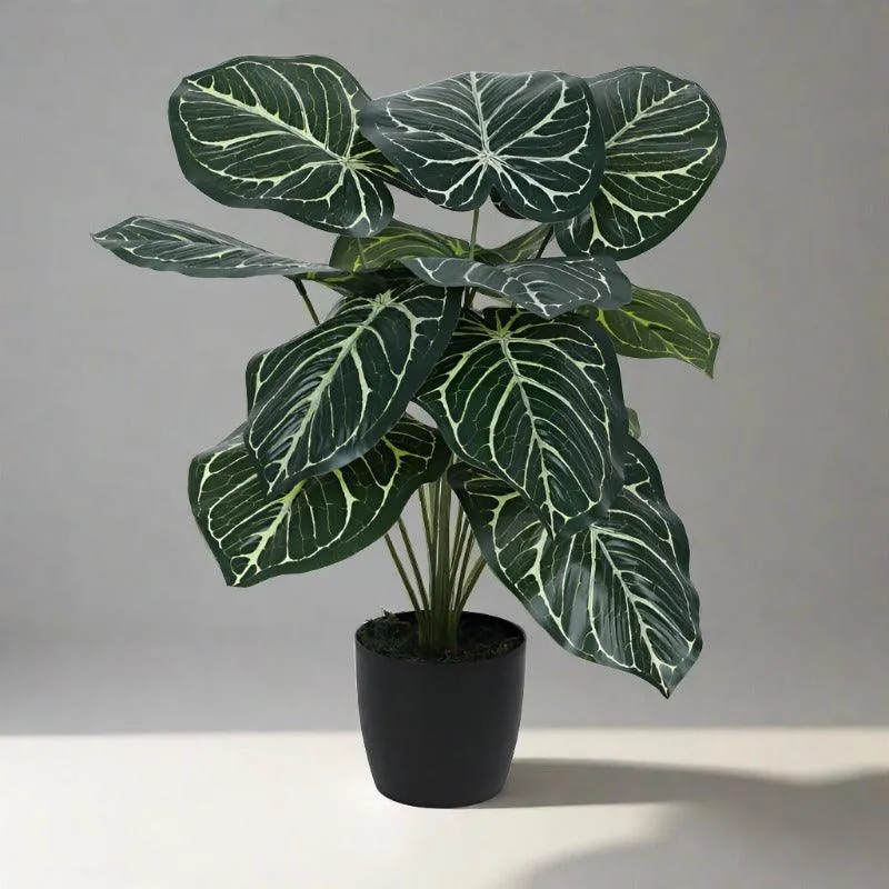 Faux Gimo Silk Plant With Black Plastic Pot - 55 cms media 2