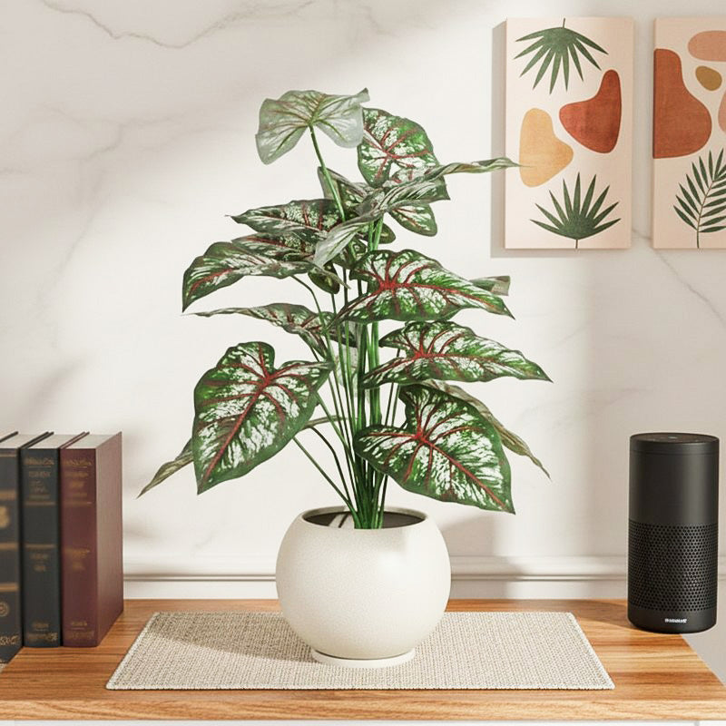 Calena Artificial Caladium With Black Plastic Pot - 2.3 Feet