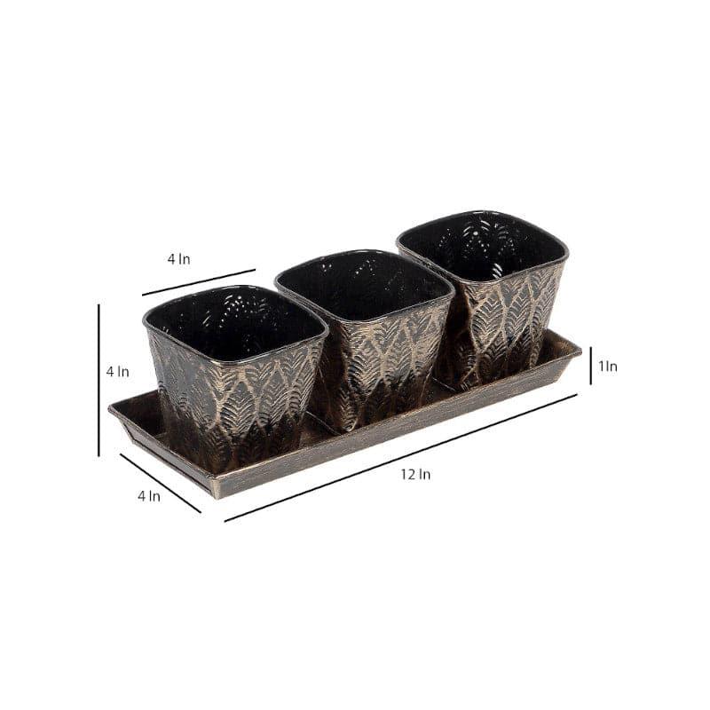 Gajro Gun Planter - Set Of Four media 6
