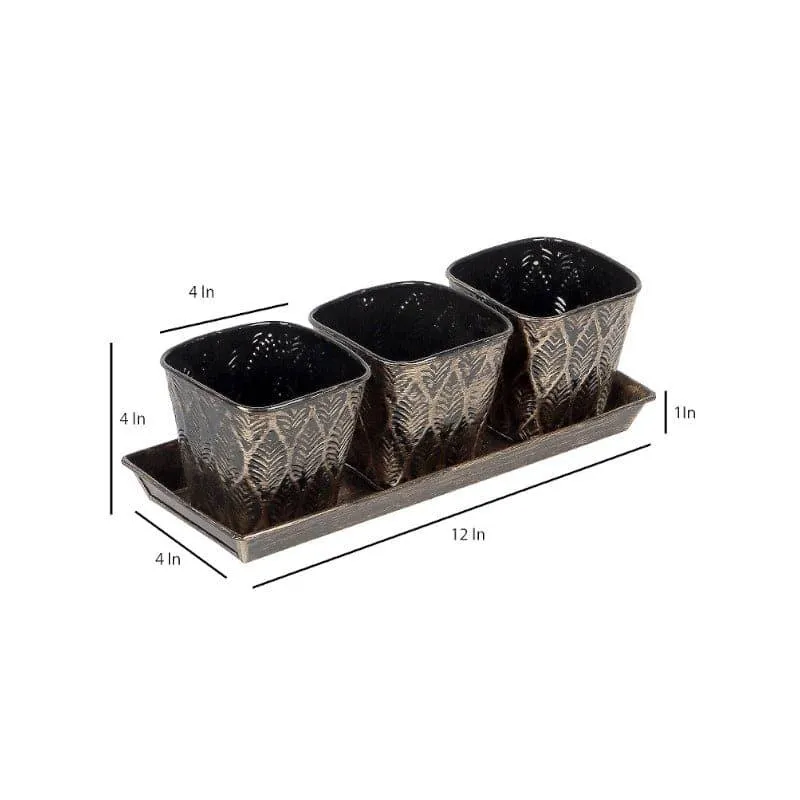 Gajro Gun Planter - Set Of Four media 6