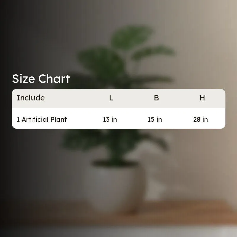 Regal Monstera Artificial Plant Without Pot - 2.3 Feet media 7