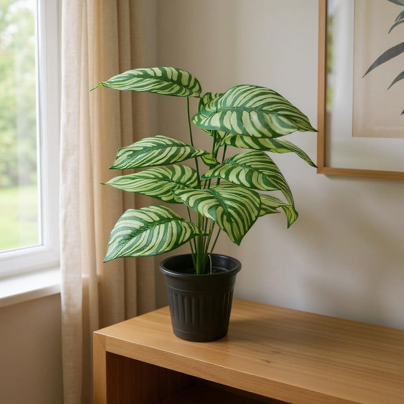 TerraLeaf Artificial Plant - 1.5 Feet media 2
