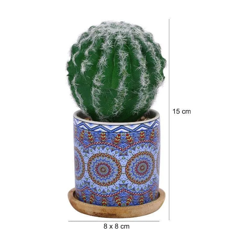 Faux Big Cacti In Ethnic Pot - 16 cms media 5