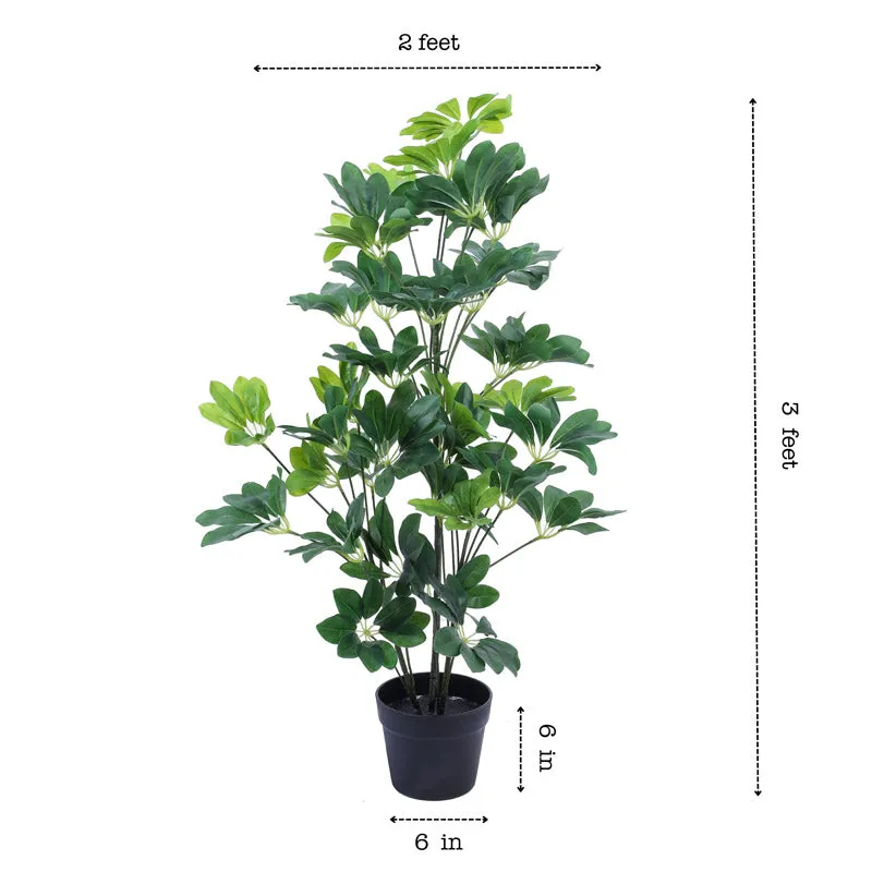 Artificial Realistic Schefflera Plant With Black Plastic Pot - 3 Feet media 8