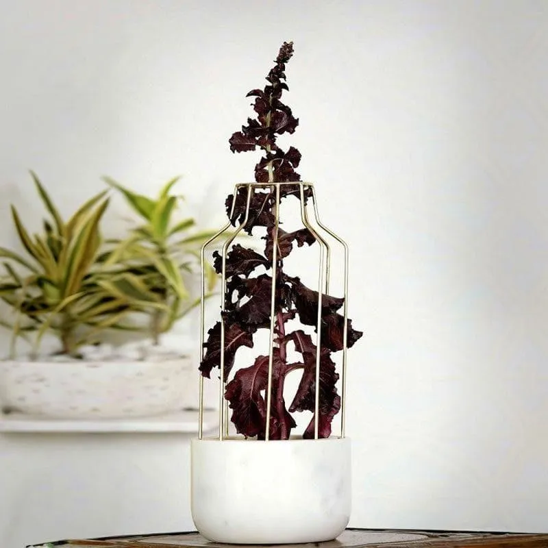 Golden Mesh Eartha Hand Crafted Marble Planter - White media 3