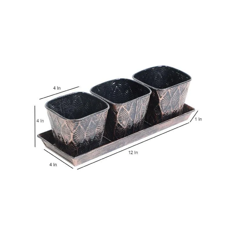 Truka Tia Planter - Set Of Four media 6