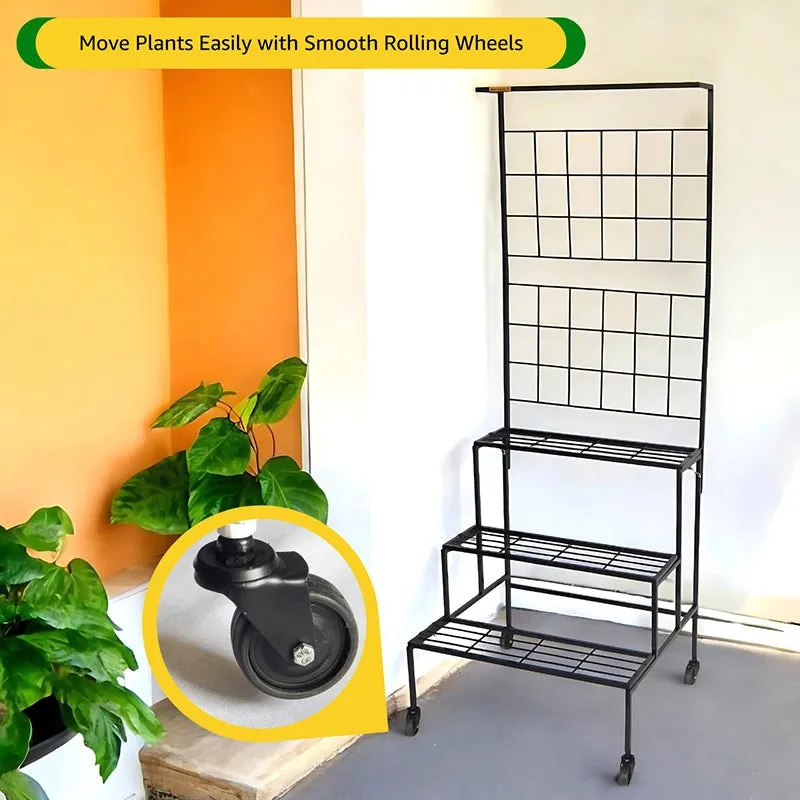 Graziana Tiered Planter Stand - Black media 7