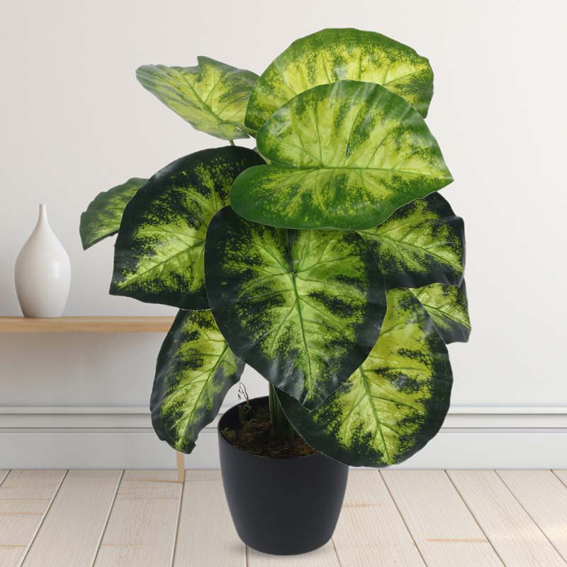 Faux Lush Aldo Monstera Plant With Black Plastic Pot - 1.8 Feet media 2