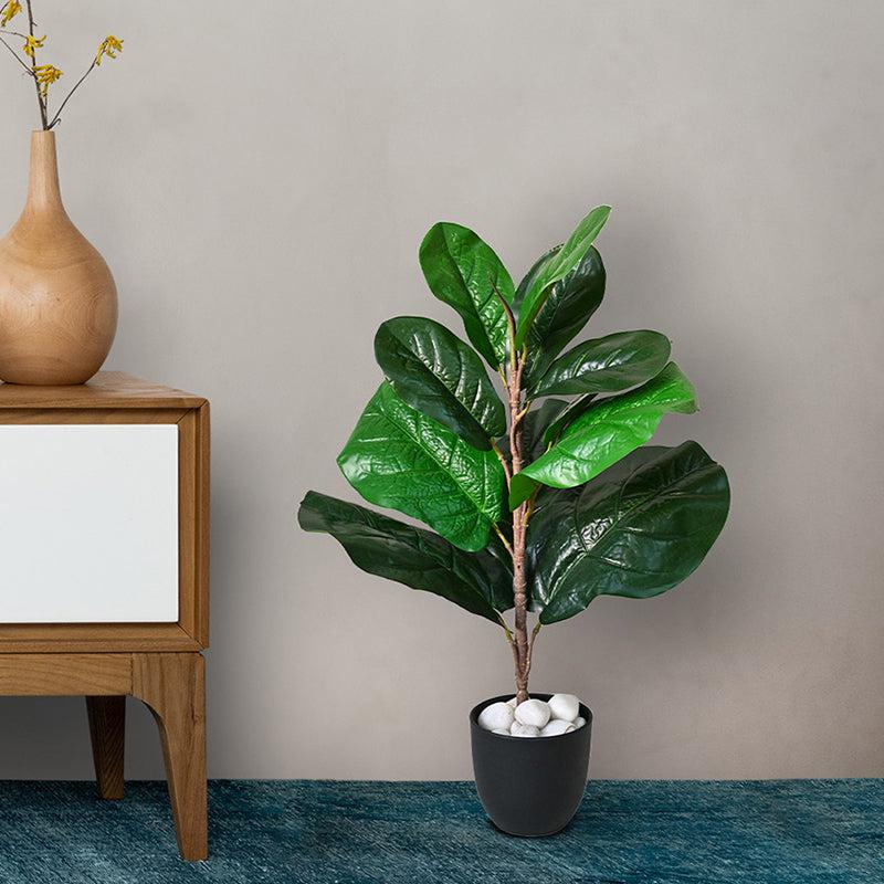 Faux Everlasting Fiddle Leaf Fig Plant With Black Plastic Pot - 58 cm media 3