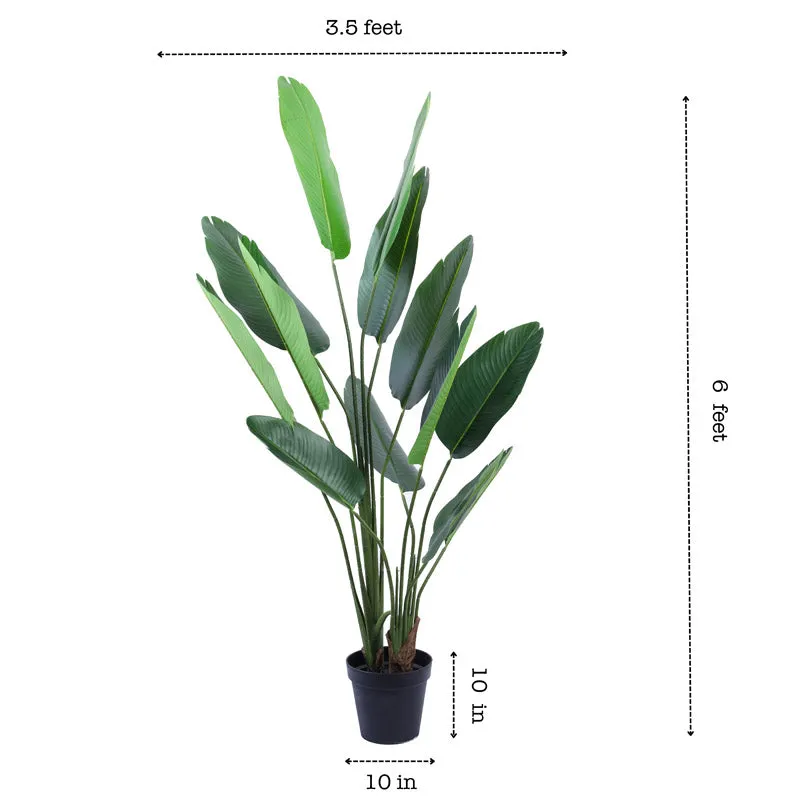 Artificial Banana Tree With Black Plastic Pot - 5.9 Feet media 8