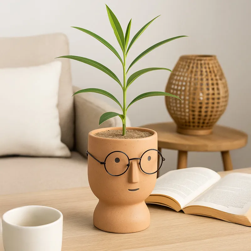 Cheeky Bloom Ceramic Planter - Orange media 3