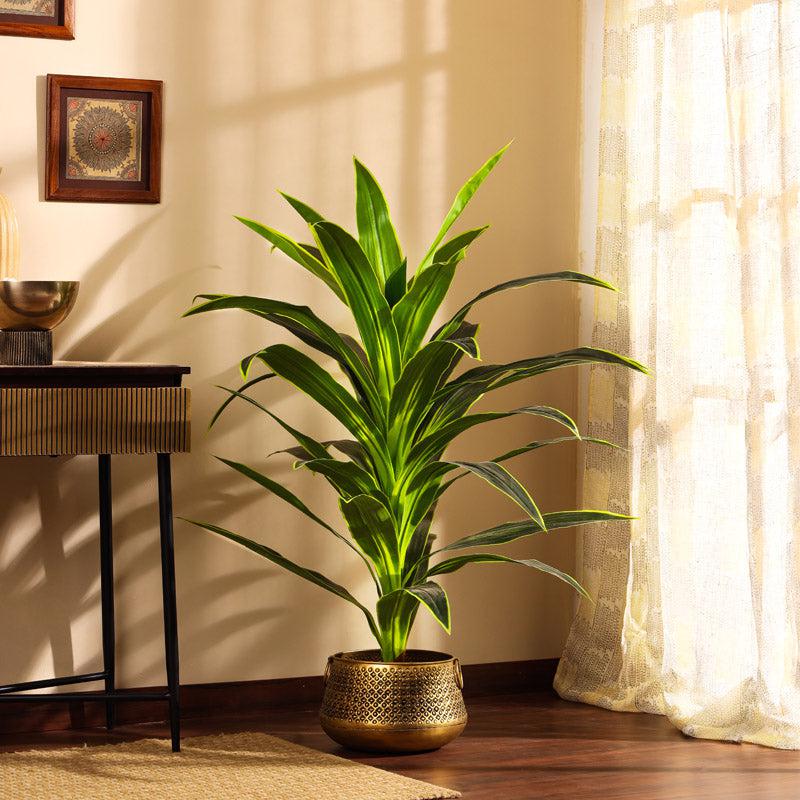 Faux Realistic Dragon With Black Plastic Pot - 3.9 Feet