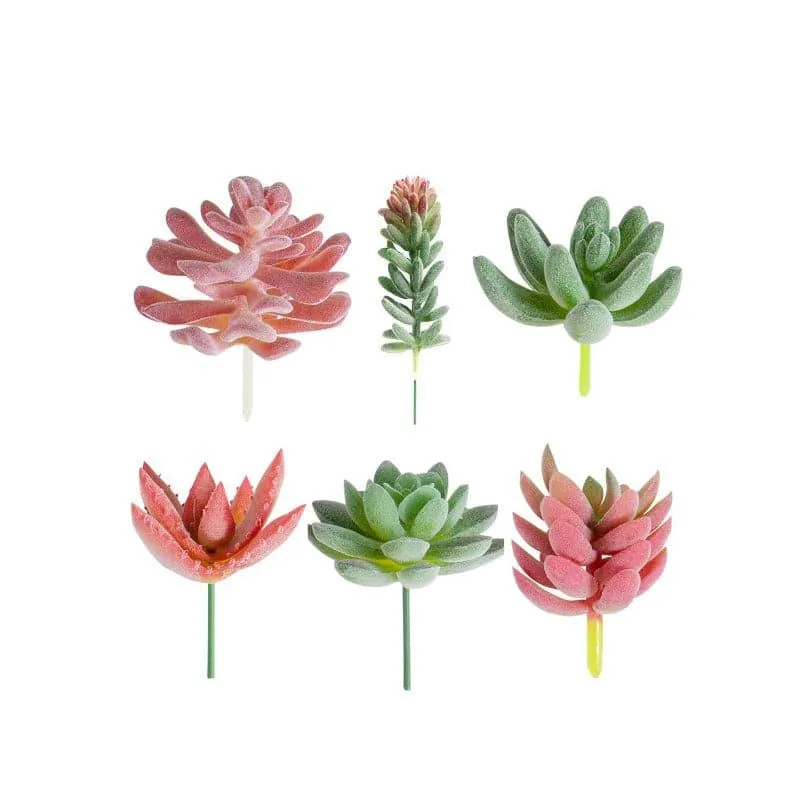 Faux Succulent Plant - Set Of Six media 3