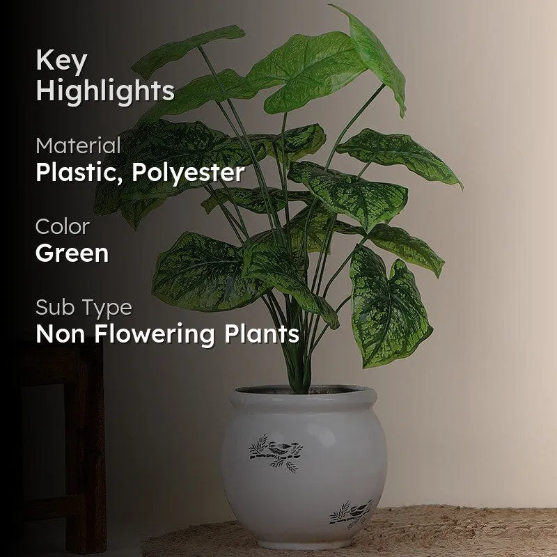 Faux Botanic Dark Green Alocasia Plant - 2 Feet media 2