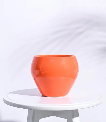 Ceramic
