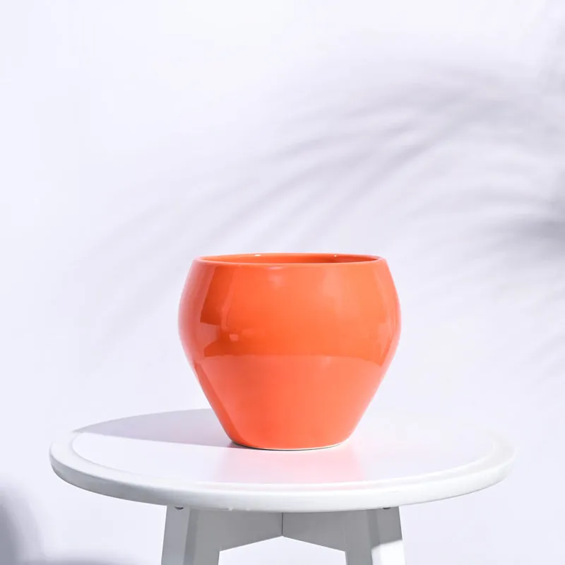 Ugaoo Apple Orange Ceramic Pot- Medium media 1