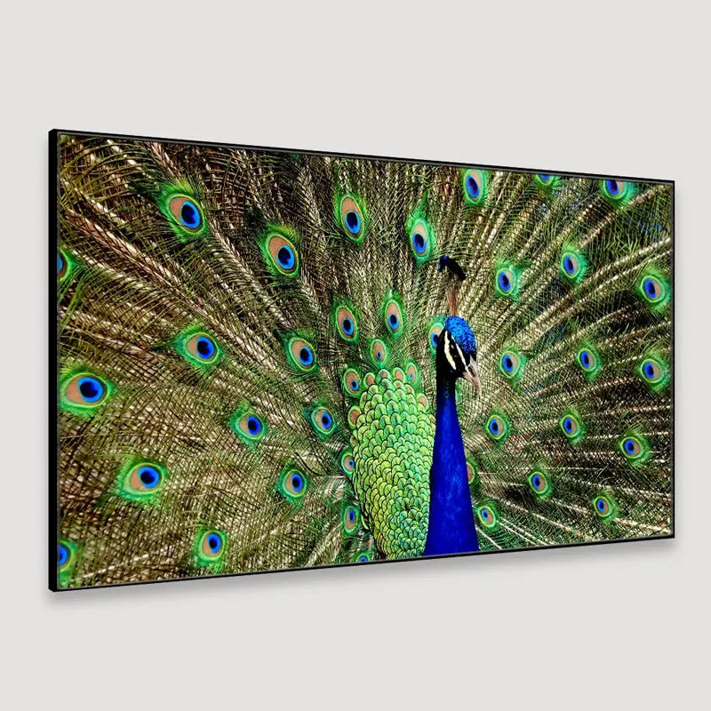 Mayoor Dance Canvas Wall Painting media 4