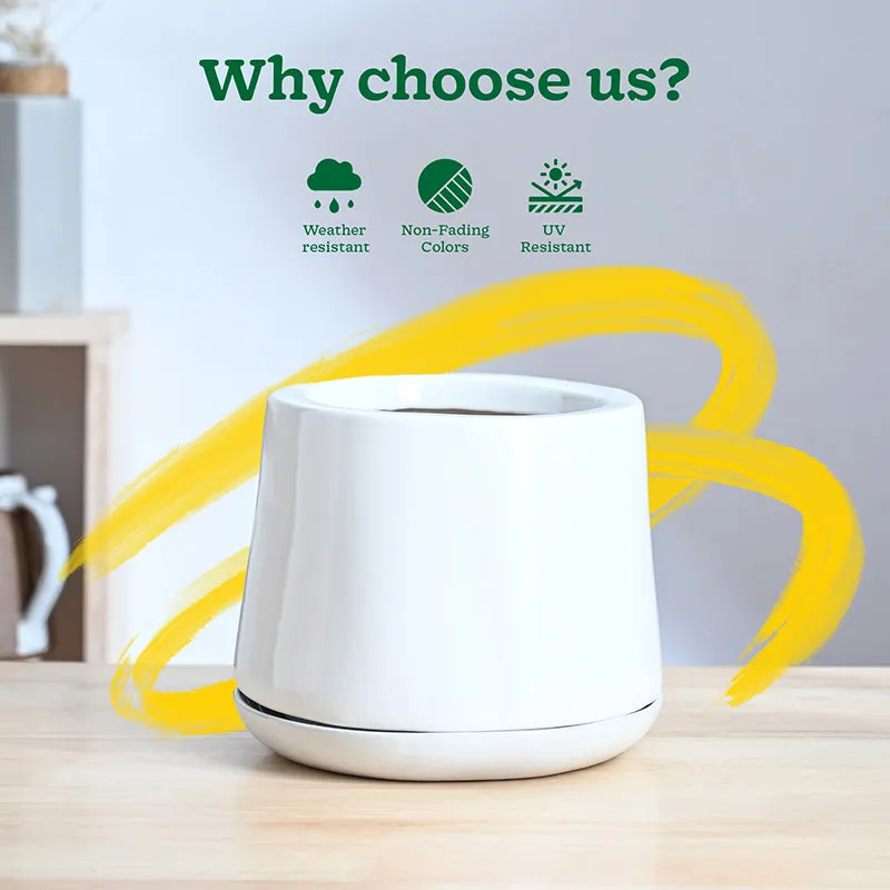 Ugaoo Captain Clay Ceramic Planter - White & Green media 6