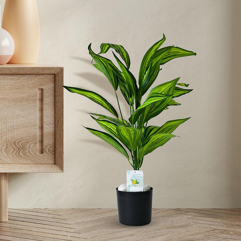 Faux Everlasting Cast Iron Plant With Black Plastic Pot - 71 cm (2.3 ft) media 3