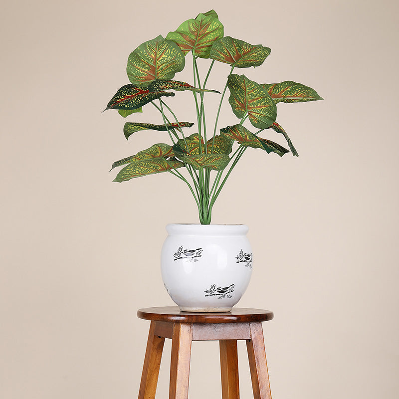 Faux Botanic Caladium Plant - 2 Feet