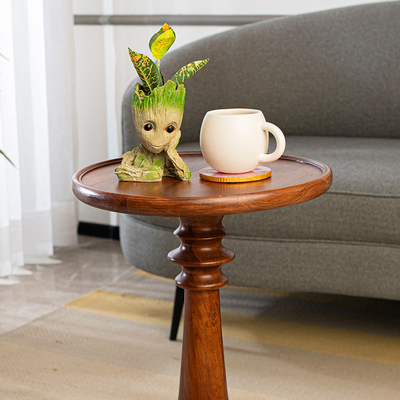 Bonito Acacia Wood Side Table media 4