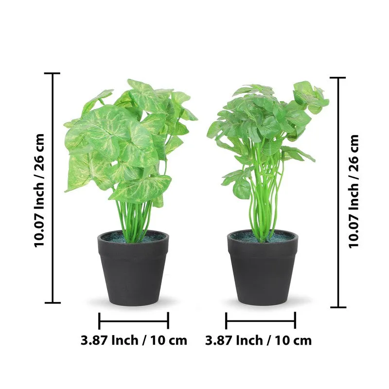 Neonix Monstera Artificial Plant With Plastic Pot - 0.8 Feet media 8