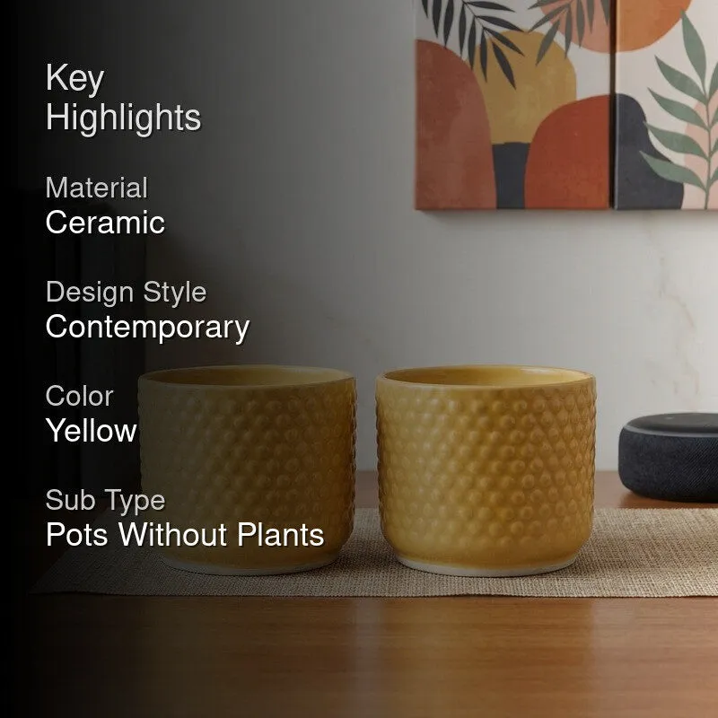 Nordic Bubble Ceramic Planter (Yellow) - Set of Two media 2
