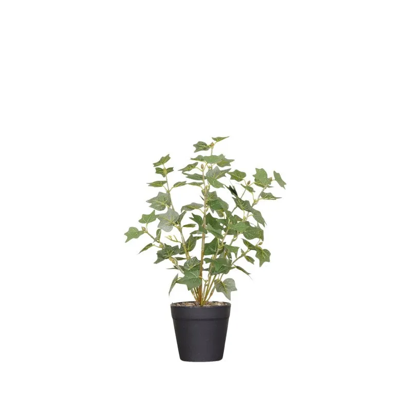 Artificial Small Plant With Black Fiber Pot (Green) - 1 Feet media 4