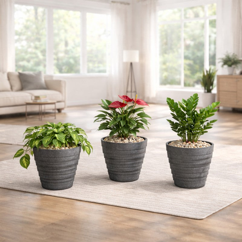 Juniper Planters (Grey) - Set Of Three media 4