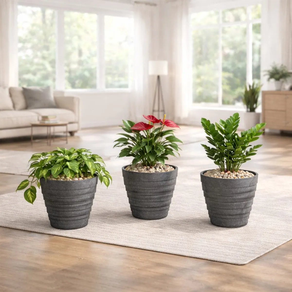 Three grey ribbed planters with leafy plants arranged in a living room
