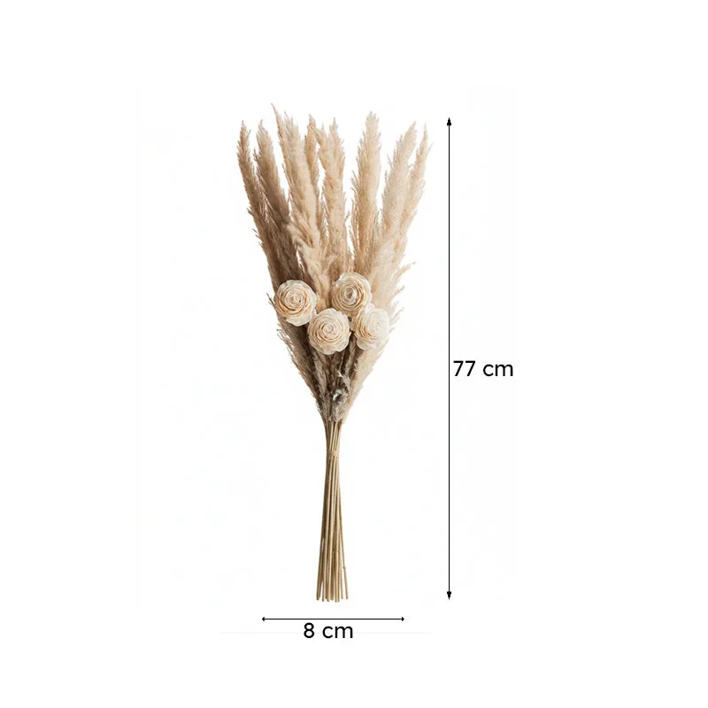 Sittora Pampas Bunch (Beige) - Set Of Fourteen media 7