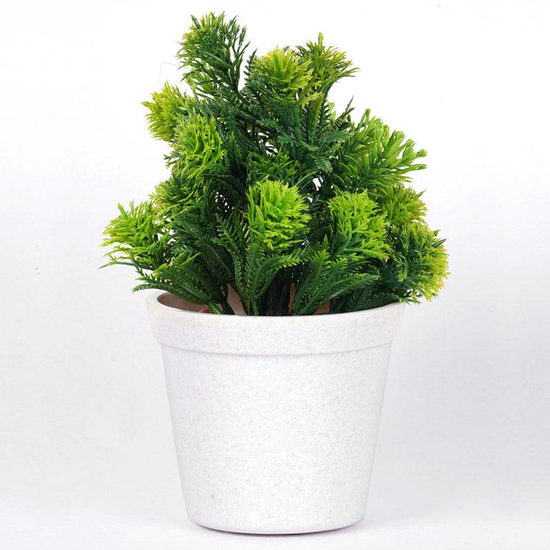 Cactus Cutie Planter media 4