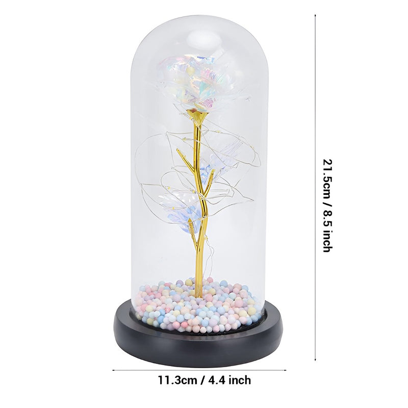 Infinite Bond Glass Domed Showpiece media 6