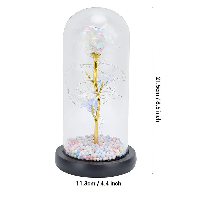 Infinite Bond Glass Domed Showpiece media 6